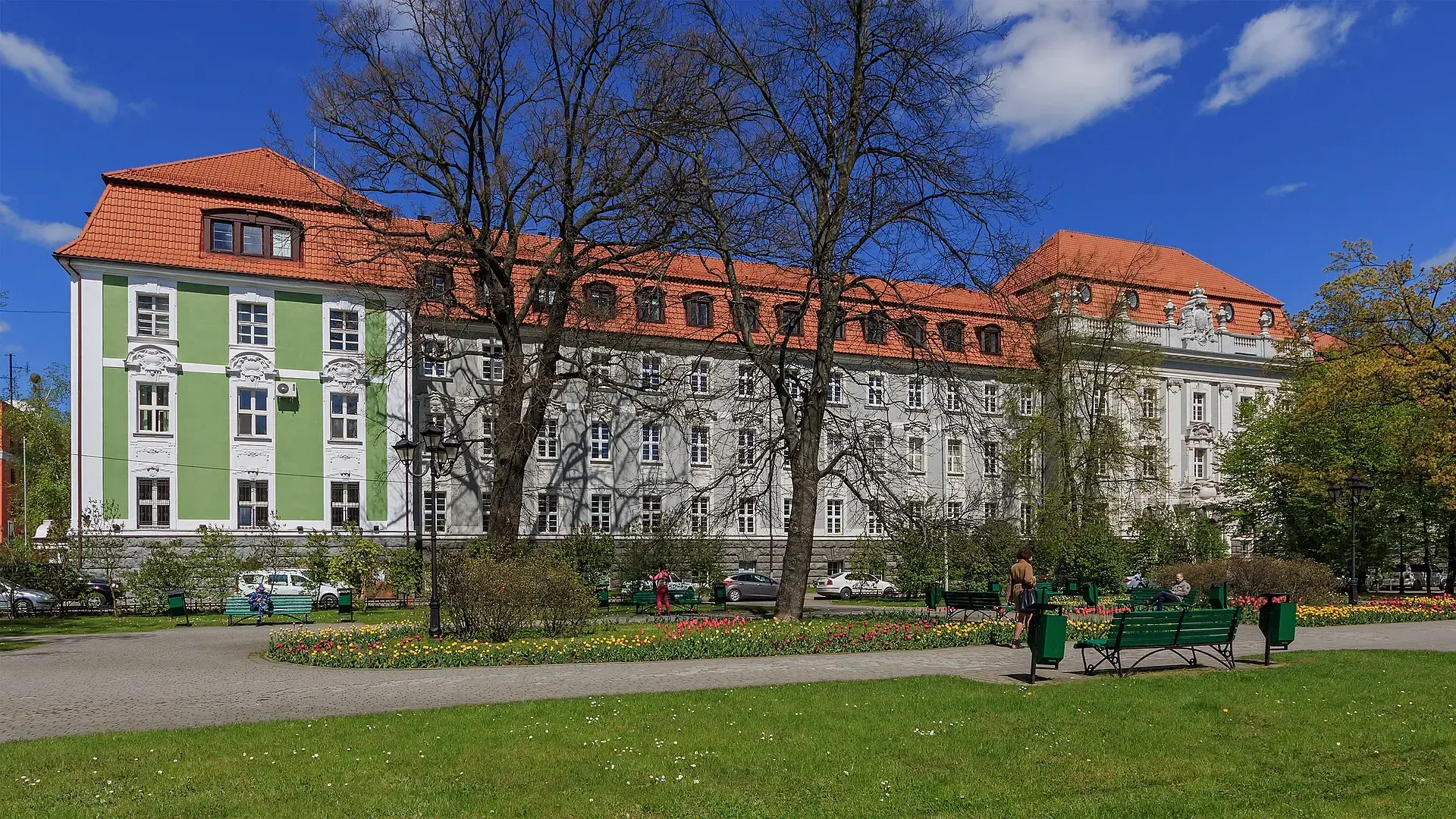 Реализуемые образовательные программы